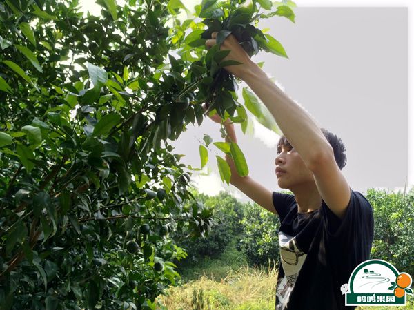 OB电竞·(中国)官方网站_OB电竞的实习生