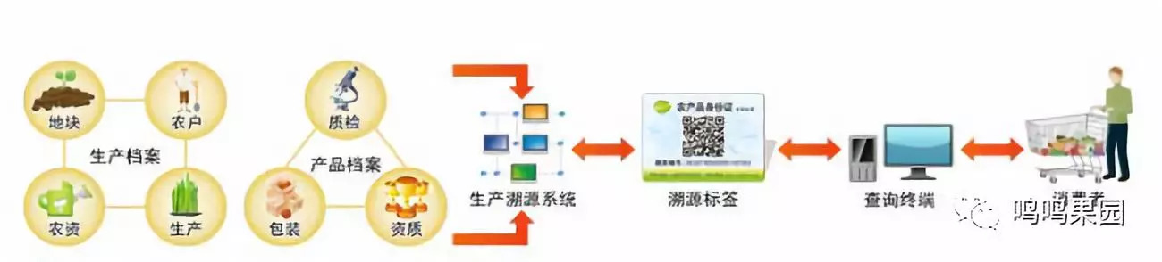 收集沃柑信息