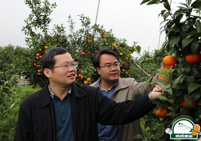 韦慧实地查看OB电竞·(中国)官方网站_OB电竞生产现场